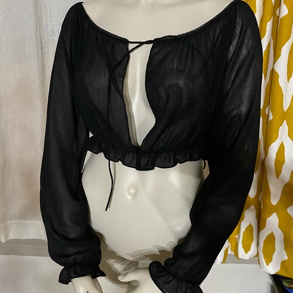 Sheer Long Sleeve Crop Top - Picture 2 of 2